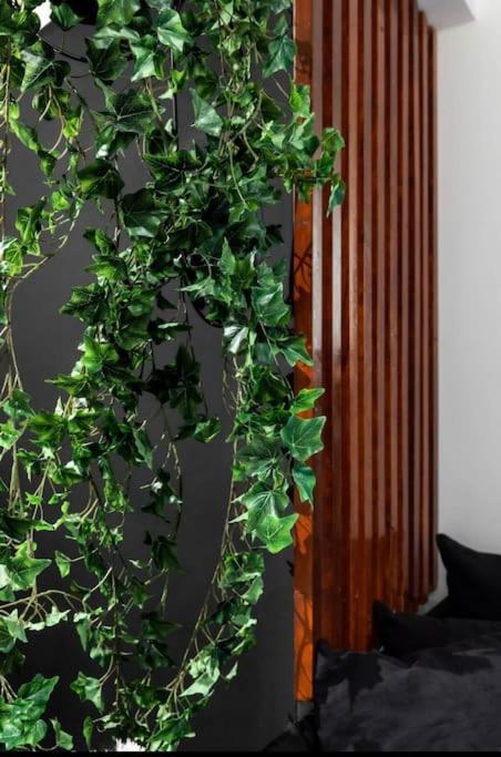 Novel Acropolis Apartment Athens Luaran gambar